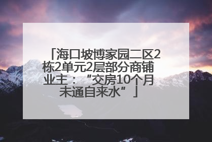 海口坡博家园二区2栋2单元2层部分商铺业主：“交房10个月未通自来水”