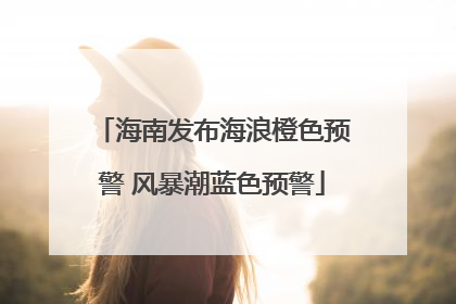 海南发布海浪橙色预警 风暴潮蓝色预警