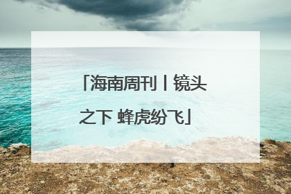 海南周刊丨镜头之下 蜂虎纷飞