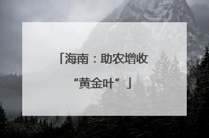 海南：助农增收 “黄金叶”