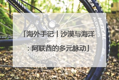 海外手记丨沙漠与海洋：阿联酋的多元脉动