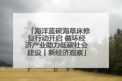 海洋蓝碳海草床修复行动开启 循环经济产业助力低碳社会建设丨新经济观察