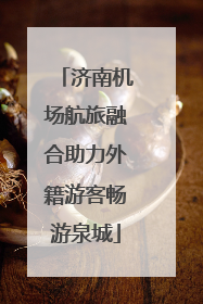 济南机场航旅融合助力外籍游客畅游泉城