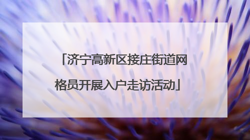 济宁高新区接庄街道网格员开展入户走访活动