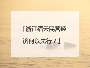浙江缙云民营经济何以先行？