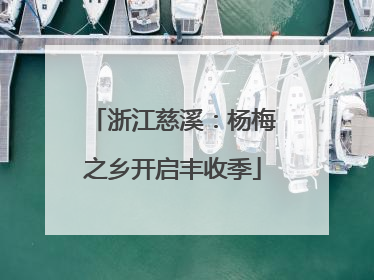 浙江慈溪：杨梅之乡开启丰收季