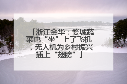 浙江金华：婺城蔬菜也“坐”上了飞机，无人机为乡村振兴插上“翅膀”