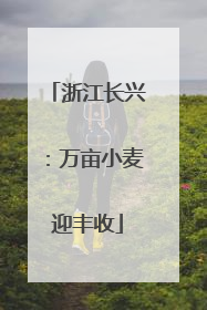 浙江长兴：万亩小麦迎丰收