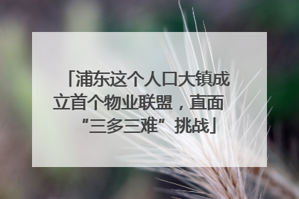 浦东这个人口大镇成立首个物业联盟，直面“三多三难”挑战