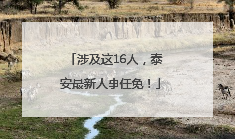 涉及这16人，泰安最新人事任免！