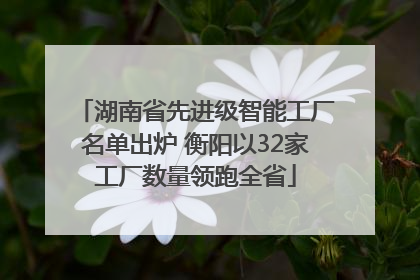 湖南省先进级智能工厂名单出炉 衡阳以32家工厂数量领跑全省