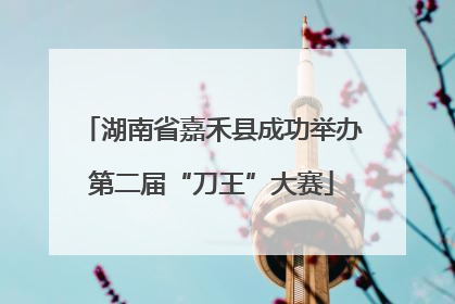 湖南省嘉禾县成功举办第二届“刀王”大赛