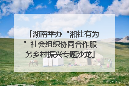 湖南举办“湘社有为”社会组织协同合作服务乡村振兴专题沙龙
