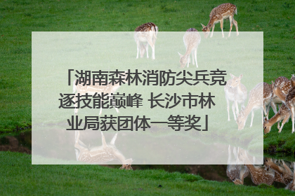 湖南森林消防尖兵竞逐技能巅峰 长沙市林业局获团体一等奖