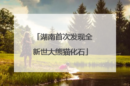 湖南首次发现全新世大熊猫化石