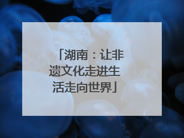湖南：让非遗文化走进生活走向世界