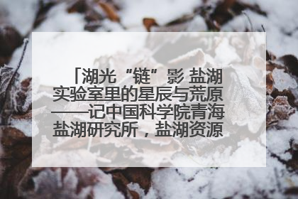 湖光“链”影 盐湖实验室里的星辰与荒原——记中国科学院青海盐湖研究所，盐湖资源化学实验室党总支书记、副主任刘忠