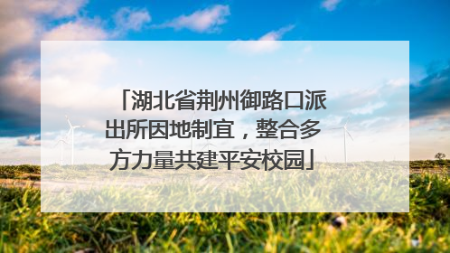 湖北省荆州御路口派出所因地制宜，整合多方力量共建平安校园