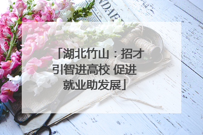 湖北竹山：招才引智进高校 促进就业助发展