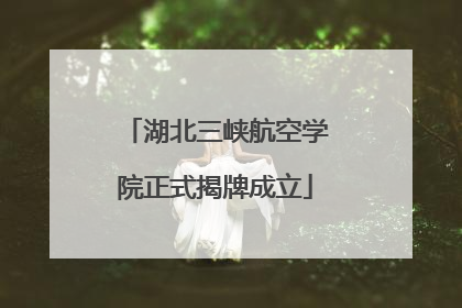 湖北三峡航空学院正式揭牌成立