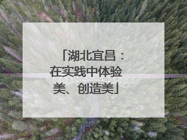 湖北宜昌：在实践中体验美、创造美