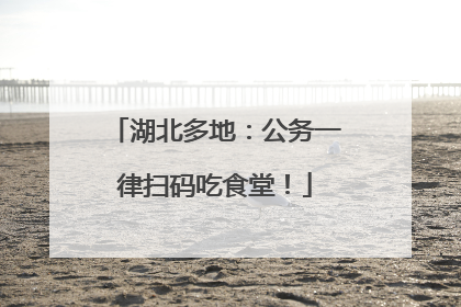 湖北多地：公务一律扫码吃食堂！