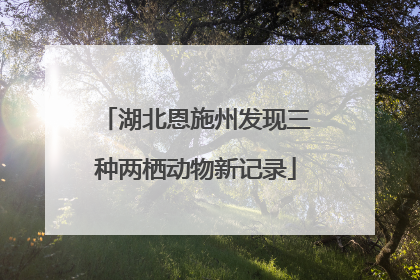 湖北恩施州发现三种两栖动物新记录