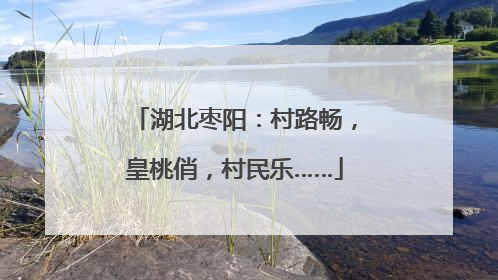 湖北枣阳：村路畅，皇桃俏，村民乐……