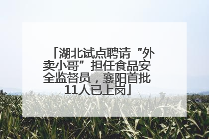 湖北试点聘请“外卖小哥”担任食品安全监督员，襄阳首批11人已上岗