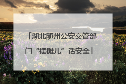 湖北随州公安交管部门“摆摊儿”话安全