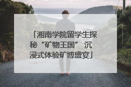湘南学院留学生探秘“矿物王国” 沉浸式体验矿博盛宴