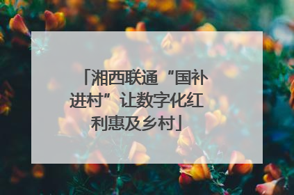 湘西联通“国补进村”让数字化红利惠及乡村