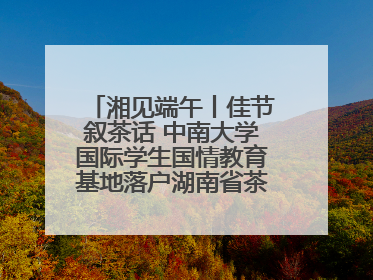 湘见端午丨佳节叙茶话 中南大学国际学生国情教育基地落户湖南省茶叶博物馆