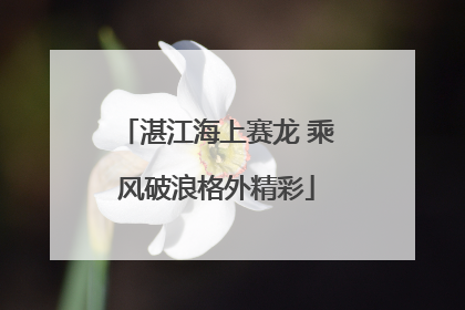 湛江海上赛龙 乘风破浪格外精彩