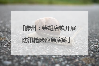 滕州：柴胡店镇开展防汛抢险应急演练