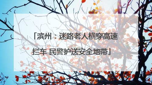 滨州：迷路老人横穿高速拦车 民警护送安全地带