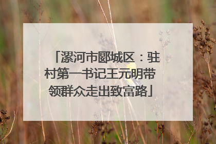 漯河市郾城区：驻村第一书记王元明带领群众走出致富路