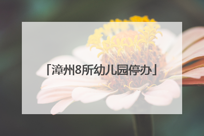 漳州8所幼儿园停办