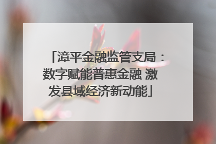 漳平金融监管支局：数字赋能普惠金融 激发县域经济新动能