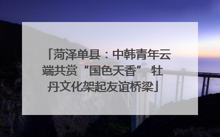 菏泽单县：中韩青年云端共赏“国色天香” 牡丹文化架起友谊桥梁