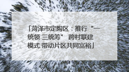 菏泽市定陶区：推行“一统领 三统筹” 跨村联建模式 带动片区共同富裕