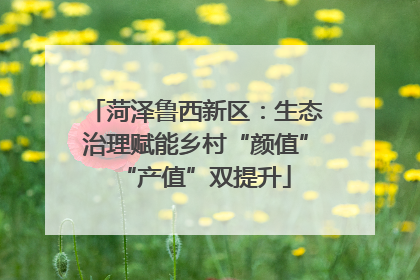 菏泽鲁西新区：生态治理赋能乡村“颜值”“产值”双提升