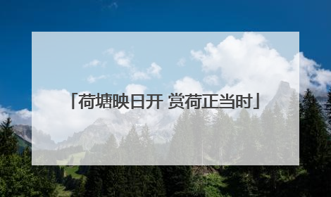 荷塘映日开 赏荷正当时