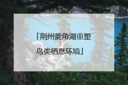 荆州菱角湖重塑鸟类栖息环境