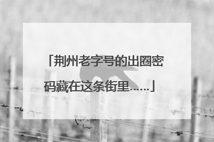 荆州老字号的出圈密码藏在这条街里……