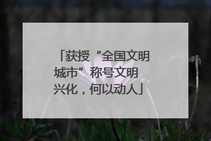 获授“全国文明城市”称号文明 兴化，何以动人