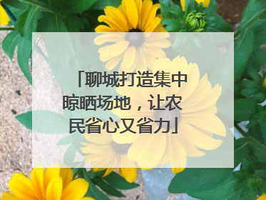 聊城打造集中晾晒场地，让农民省心又省力