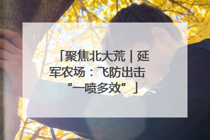 聚焦北大荒｜延军农场：飞防出击 “一喷多效”