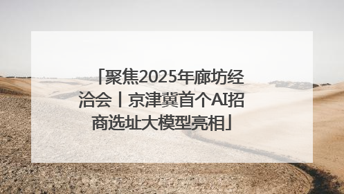 聚焦2025年廊坊经洽会丨京津冀首个AI招商选址大模型亮相