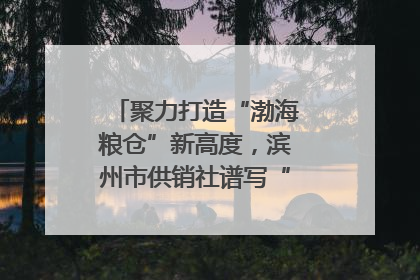 聚力打造“渤海粮仓”新高度，滨州市供销社谱写“三夏”丰收乐章